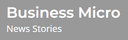Business Micro Logo