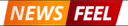 News Feel Logo 1