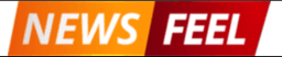 News Feel Logo 1